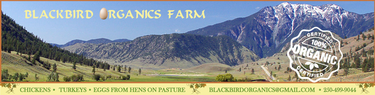 Blackbird Organics logo